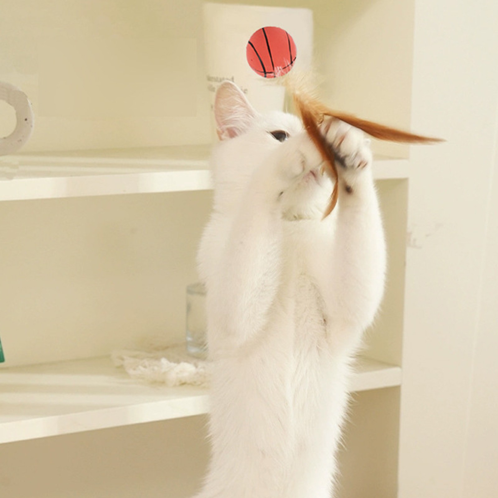 Cat Feather Ball ของเล่น Inter - Basketball Arcade Game บทวิจารณ์และราคา