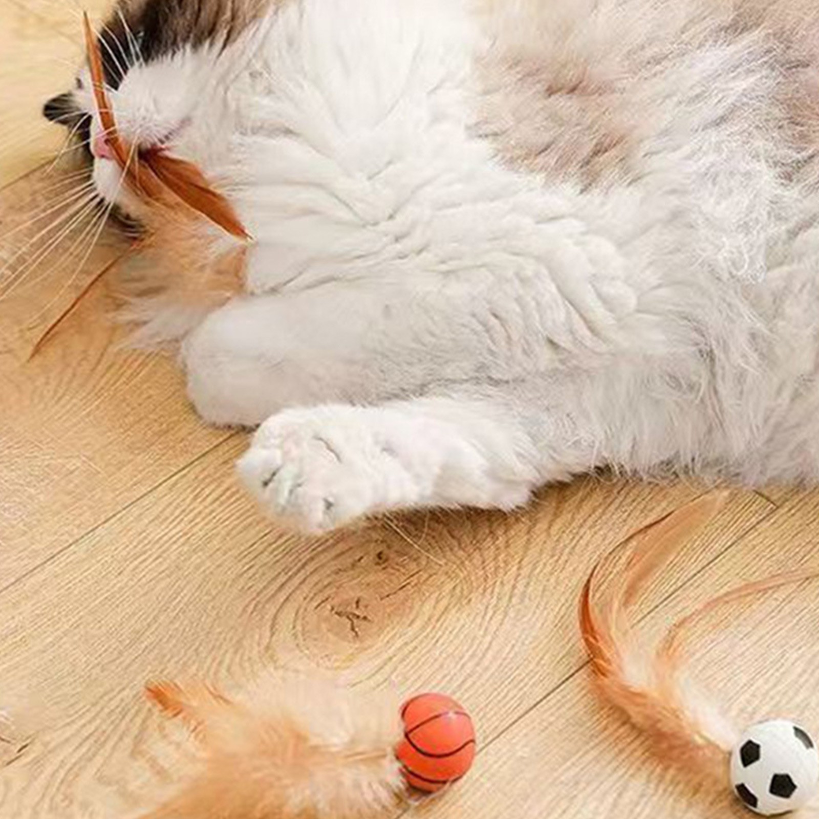 Cat Feather Ball ของเล่น Inter - Basketball Arcade Game บทวิจารณ์และราคา